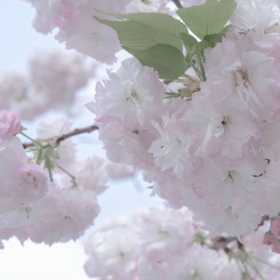 兽设冰川场景绘制福瑞交流群